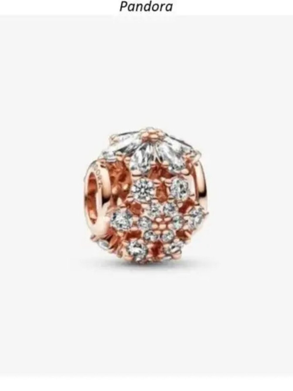 Pandora Sparkling Herbarium Cluster Round Charm